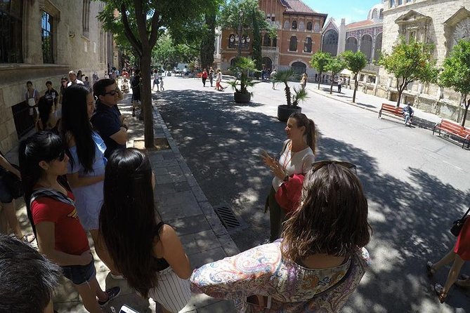 Valencia Private Walking Tour with Official Valencian Guide - Logistics and Practical Tips for the Tour