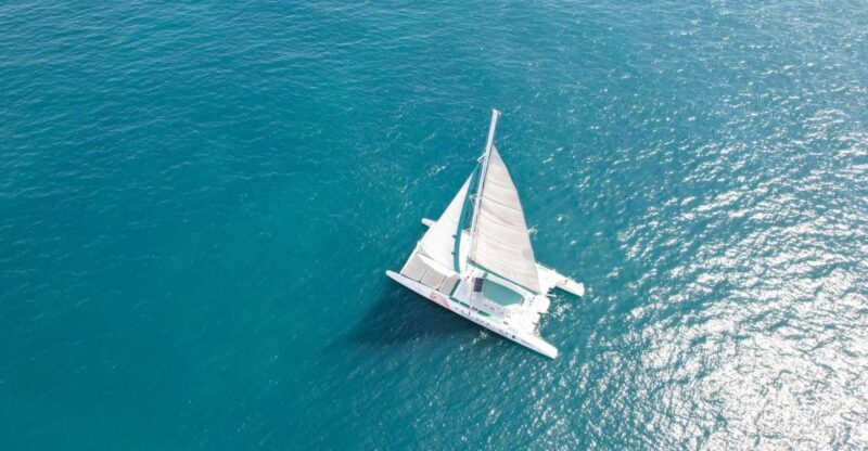 Valencia: Sailing Catamaran Cruise with Valencian Lunch - Key Points