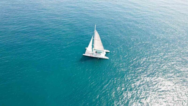 Valencia: Sailing Catamaran Cruise with Valencian Lunch - Secluded Beach Stop for Swimming and Sunbathing