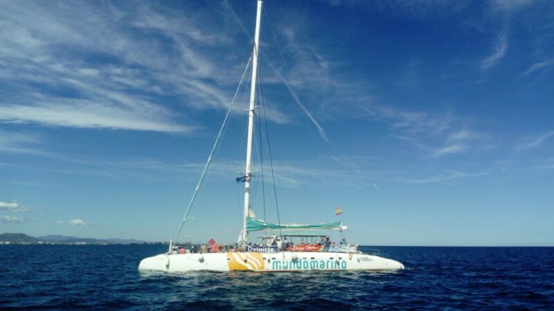 Valencia: Sailing Catamaran Cruise with Valencian Lunch - Practical Details: Group Size, Accessibility, and Cancellation