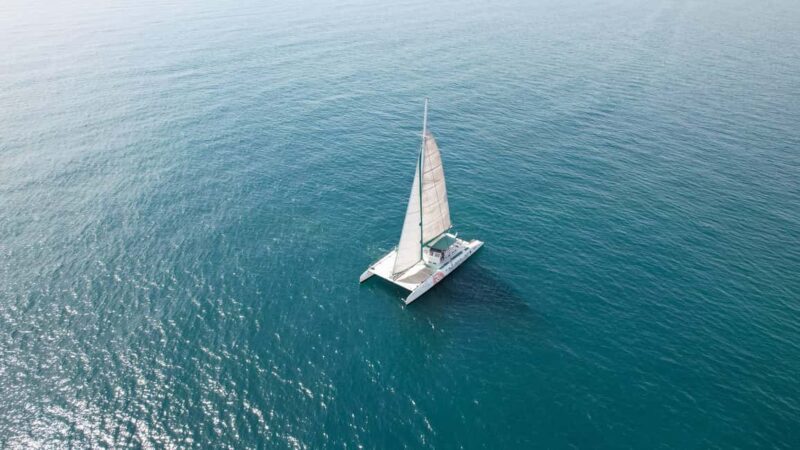 Valencia: Sailing Catamaran with Swimming & Optional DJ - Key Points