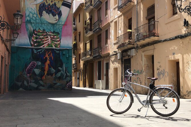 Valencia Street Art | Private Tour by Bike or Electric Ride - The Guide: Passionate and Knowledgeable