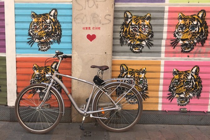 Valencia Street Art | Private Tour by Bike or Electric Ride - Practical Details and Logistics
