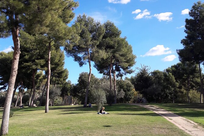 Valencia Street Art | Small Group Guided Tour by Bike - Practical Aspects: Comfort, Convenience, and Group Size