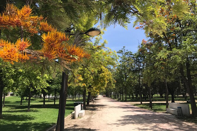 Valencia Street Art | Small Group Guided Tour by Bike - Weather Policy and Cancellation Options