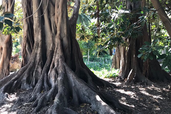 Valencia Street Art | Small Group Guided Tour by Bike - Comparing This Tour to Other Valencia Experiences