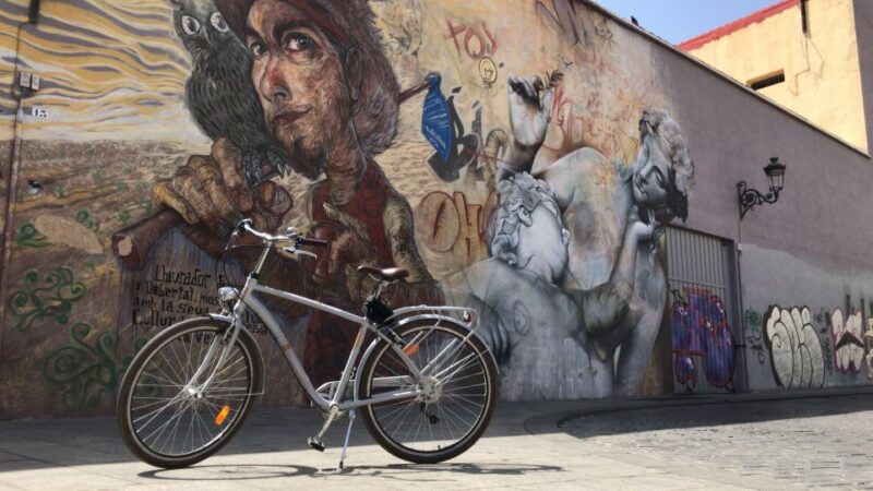 Valencia: Street Art Tour on Bicycle, E-Bike or E-Step - Key Points