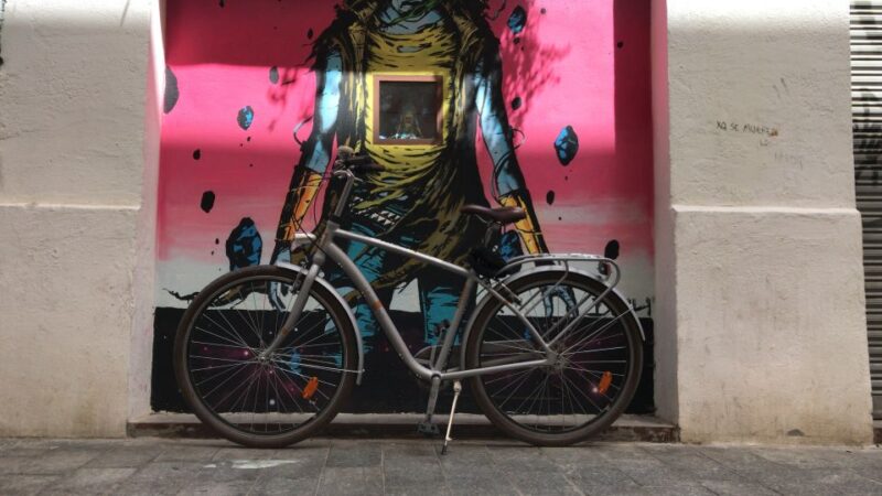 Valencia: Street Art Tour on Bicycle, E-Bike or E-Step - Seeing Murals Inspired by Valencia’s Flood and Other Events