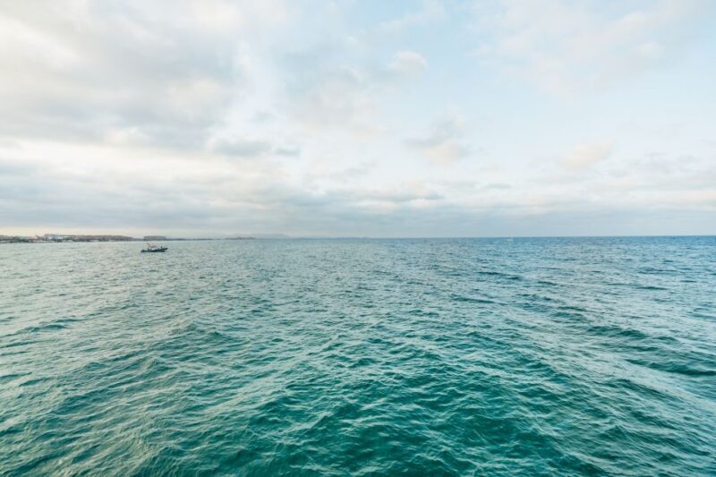 Valencia: Sunset or Daytime Catamaran Cruise with Drink - Valuing the Cost and Overall Experience