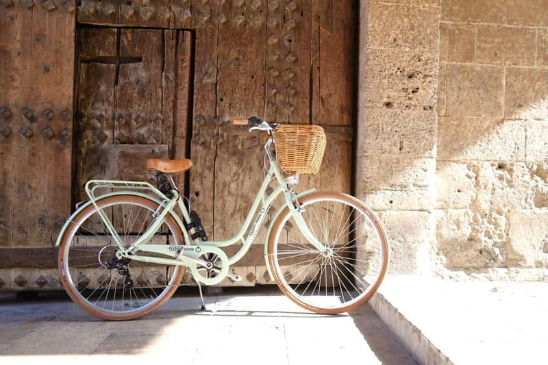 Valencia: Tapas tour + audio guide + bike all day - The Audio Guide: A Multimedia Companion Throughout the Day