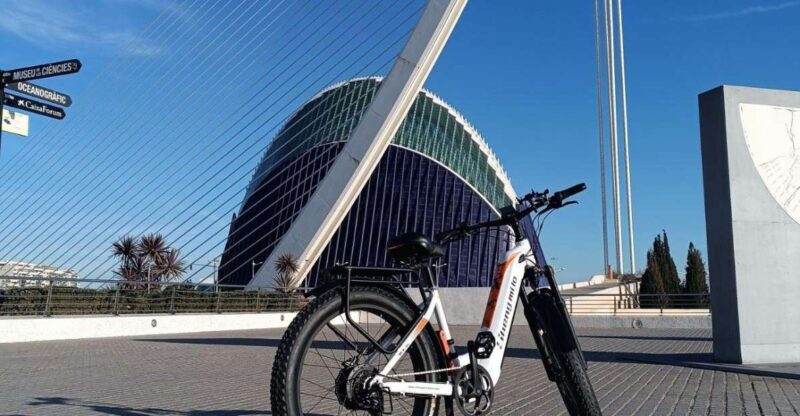 Valencia: The Albufera Lake Self-Guided E-Bike Tour - Discover Valencia and Albufera Lake with a Self-Guided E-Bike Tour