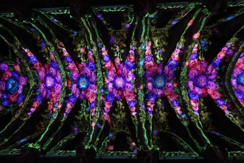 Valencia: The Light of Saint Nicholas - Booking and Price Flexibility