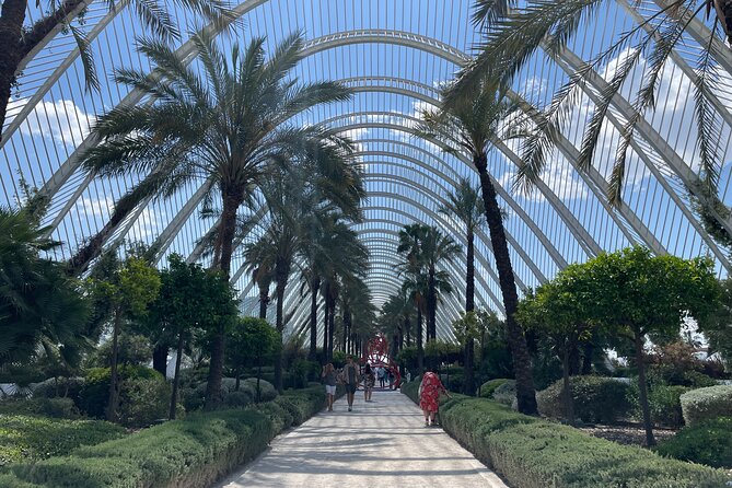 Valencia: Top 25 Highlights Guided Bike Tour - Discovering the Palacio del Marques de Dos Aguas