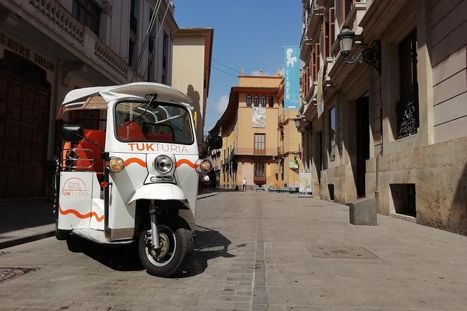 Valencia: Tuk Tuk Full Tour - Considerations and Limitations