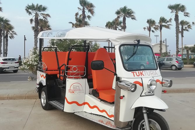 Valencia: Tuk Tuk Modern Tour - Who Should Consider This Tour