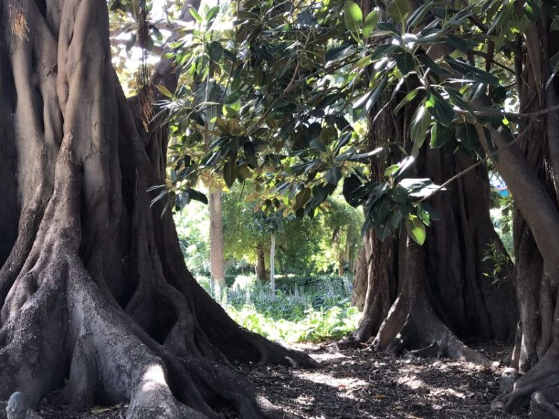 Valencia: Turia & Cabecera Park Private Segway Tour - Key Points