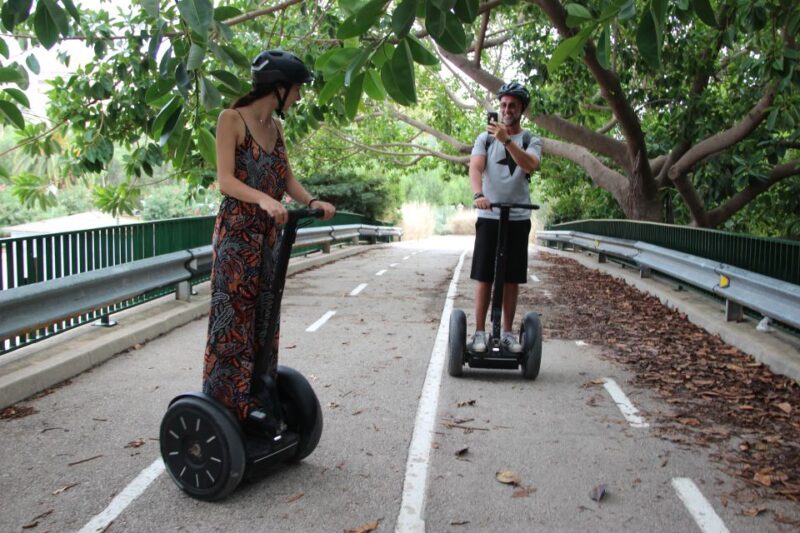 Valencia: Turia & Cabecera Park Private Segway Tour - Discovering Parque de Cabecera and Its Wildlife