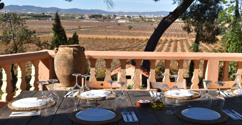 Valencia: Utiel-Requena Cave & Winery Day Trip with Tasting - Key Points