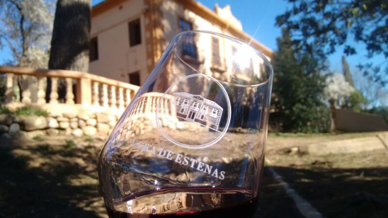 Valencia: Utiel-Requena Cave & Winery Day Trip with Tasting - The Guide’s Expertise and Engaging Commentary