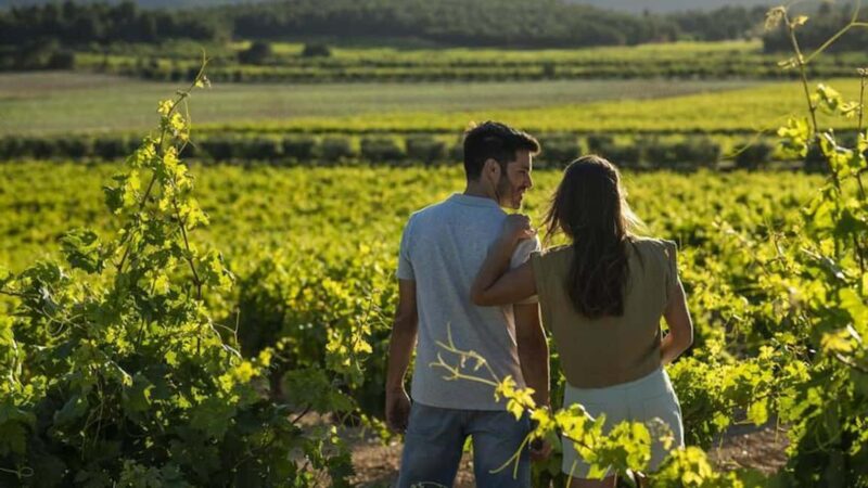 Valencia: Vineyard Tour, Local Wine, Cava Tasting & Snacks - Key Points