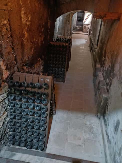 Valencia: Vineyard Tour, Local Wine, Cava Tasting & Snacks - The Guides Role in Making It Special