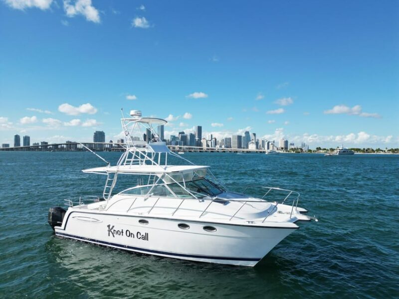 Valencia: VIP Sunset Cruise in Catamaran with drink - Features of the Catamaran: Comfort and Entertainment