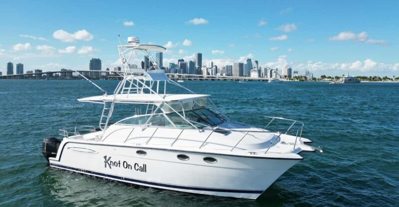 Valencia: VIP Sunset Cruise in Catamaran with drink - Why This Sunset Cruise Fits into Your Valencia Trip