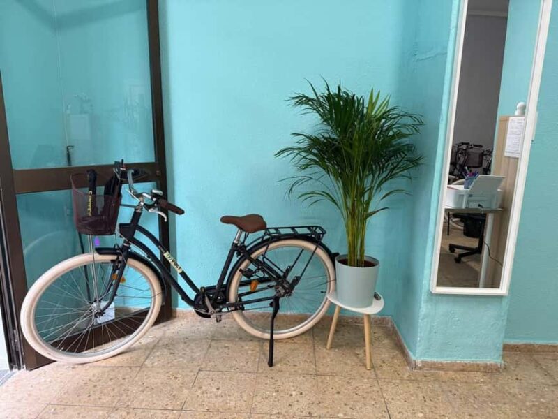 Valencia Volt Bike Rental: 4-Hour Bike Rental - Riding Through Turia Gardens