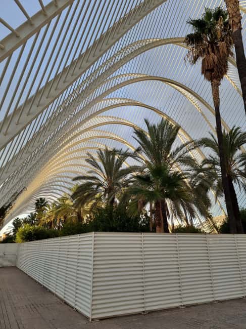 Valencia: Walking tour of the City of Arts and Sciences in Italian - The Reina Sofia Palace of the Arts: Exterior Insights