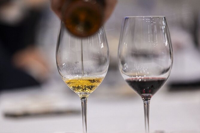 Valencia Wine Tasting and Tapas Experience - Discovering Valencian Wine Regions in a Modern Setting