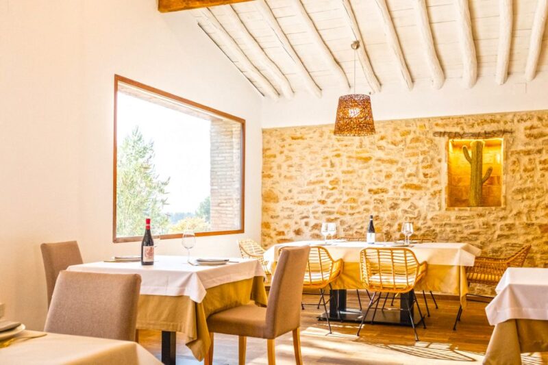 Valencia: Winery Visit with Vineyard Tour & Wine Tasting - Enjoying a Traditional Valencian Lunch