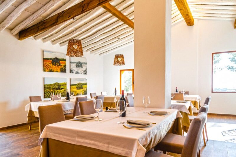 Valencia: Winery Visit with Vineyard Tour & Wine Tasting - Logistics and Meeting Details