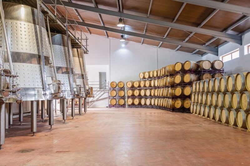 Valencia: Winery Visit with Vineyard Tour & Wine Tasting - Why This Tour Is a Good Choice
