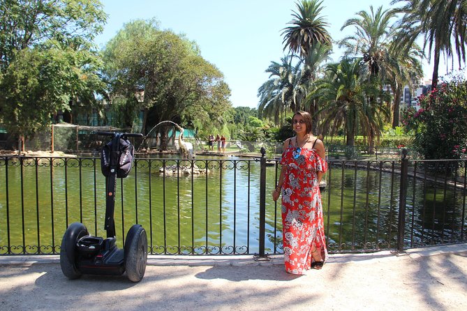 Valencian Main Attractions Group Segway Tour - The Quality of Guides and Tour Experience