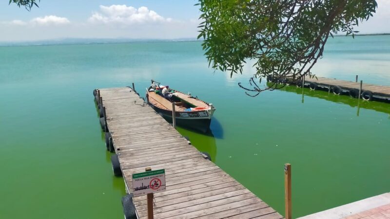 Valencia's Albufera, cycling guided tour - Frequently Asked Questions