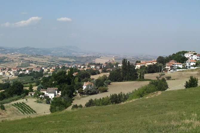 Valentino Rossi round trip to Tavullia from Rome Private day Tour - Departure and Transportation: Hassle-Free Roundtrip from Rome