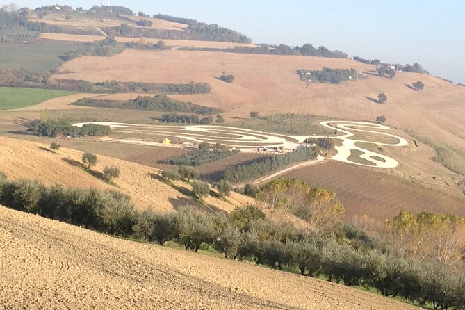 Valentino Rossi round trip to Tavullia from Rome Private day Tour - Shopping at the VR46 Store: Official Merchandise and Memorabilia