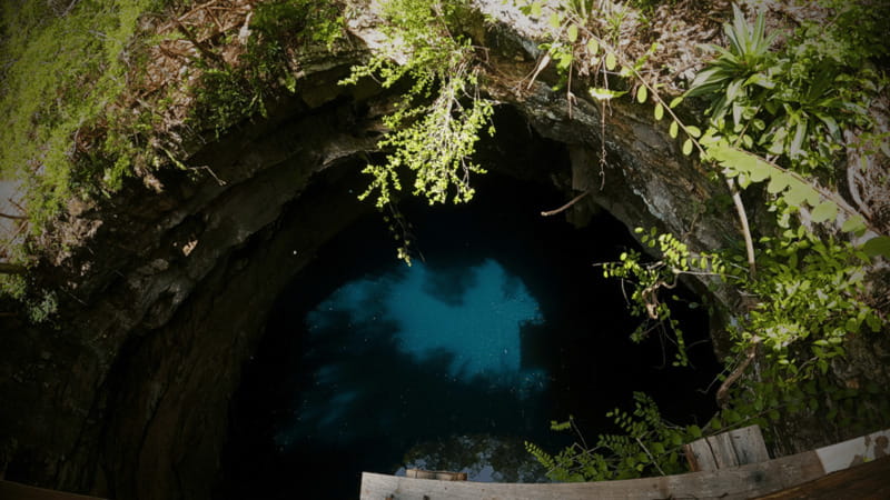 Valladolid: Chichén Itzá and 2 Cenotes Shared Day Trip - The Experience of a Certified Local Host