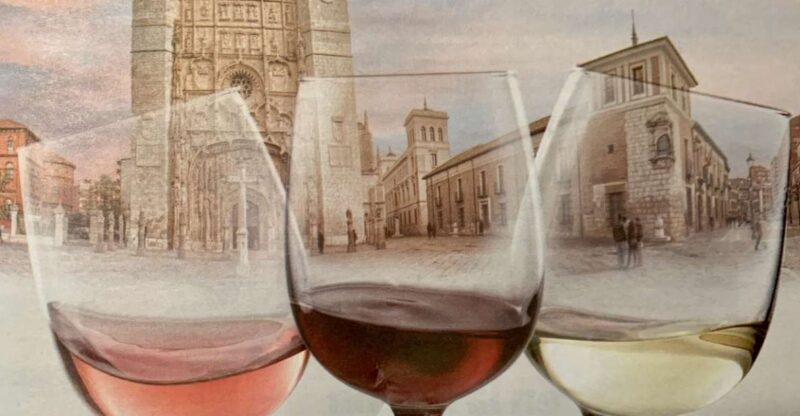 Valladolid: Private Guided Tour with Tapas and Wine Tasting - Who Will Appreciate This Tour Most