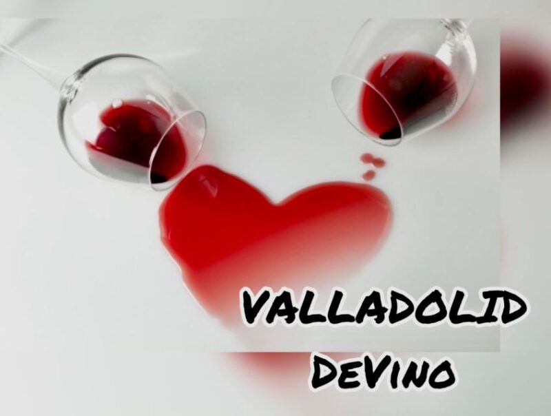 Valladolid: Private Guided Tour with Tapas and Wine Tasting - Frequently Asked Questions
