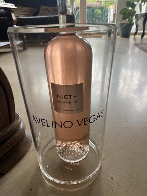 VALLADOLID: TOUR with a sommelier. Tasting of 3 wines + TAPAS. - Explore Valladolids Wine and Historic Sights with a Sommelier Guide