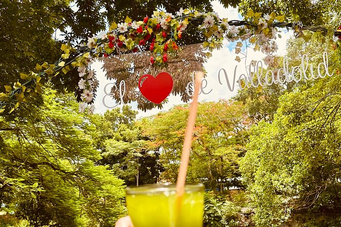 Valladolid Yucatecan Chef Food Tour - Who Will Enjoy This Tour Most?