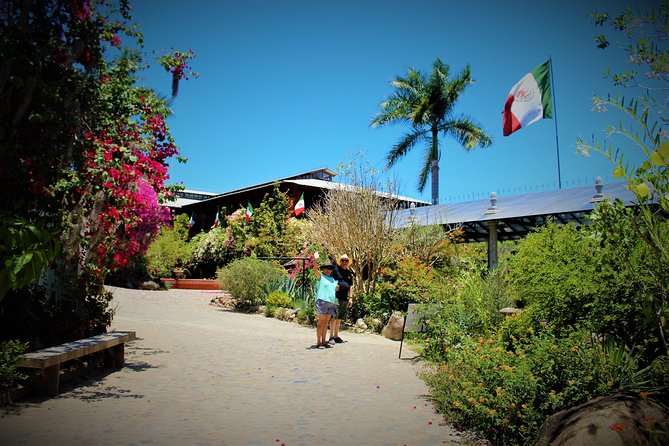 Vallarta Botanical Garden and Tequila Tasting from Puerto Vallarta - Key Points