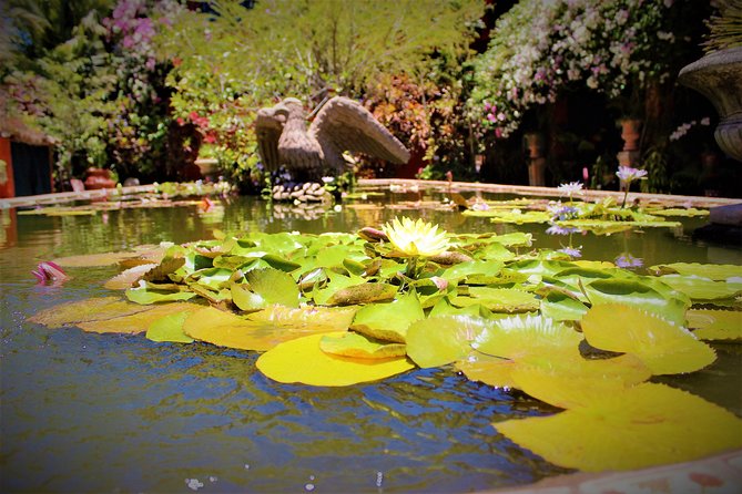 Vallarta Botanical Garden and Tequila Tasting from Puerto Vallarta - The Mexican Lunch and Tequila Sampling at Rancho Los Veranos