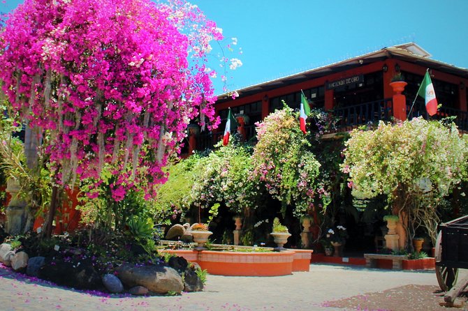 Vallarta Botanical Garden and Tequila Tasting from Puerto Vallarta - Tour Guides and Personalities