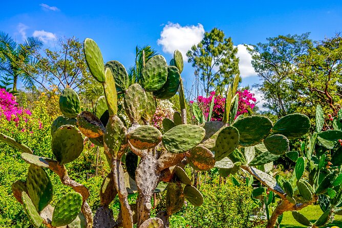 Vallarta Botanical Garden: Private Day Trip of Flora & Fauna - Visiting Jewelry Workshops and Local Artisans