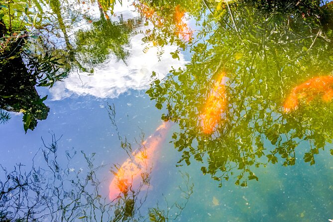 Vallarta Botanical Garden: Private Day Trip of Flora & Fauna - Return Journey and Final Views of Puerto Vallarta