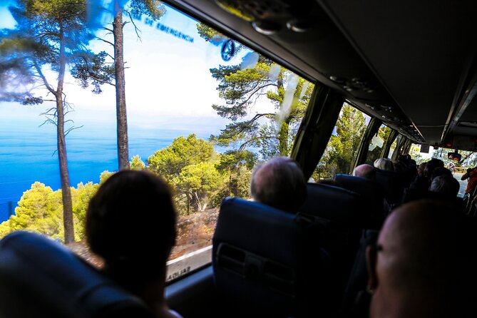 Valldemosa and Valley of Soller Tour in Mallorca - Walking Tour of Soller Town