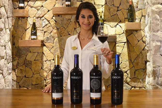 Valle de Guadalupe Premium Wine & Vineyard Wagon Tour - The Carriage Ride and Wine Tastings