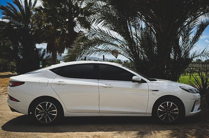 Valle de Guadalupe Private Transportation - Who Will Appreciate This Tour the Most?